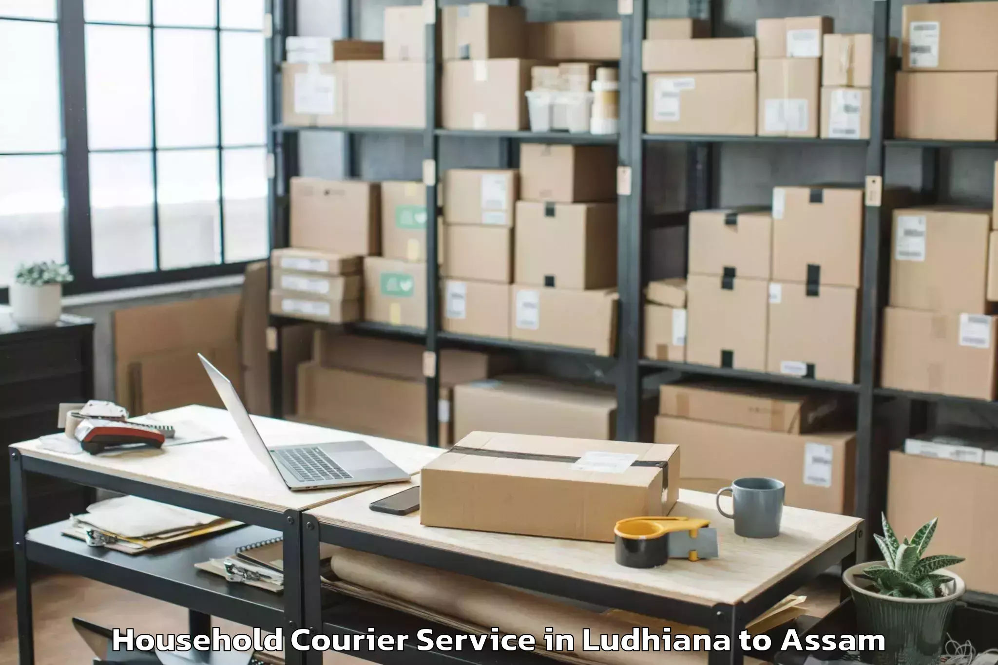 Comprehensive Ludhiana to Tamarhat Household Courier